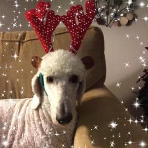 Meet your Posher, Annette